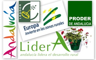 Programatica