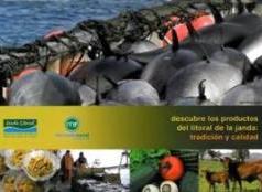 Proyecto1
