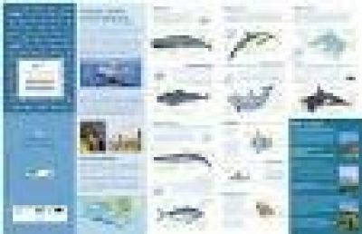 Mapa Cetáceos, atún y otros recursos marinos de la Costa de Trafalgar
